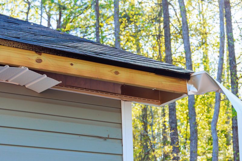 Fascia Repair
